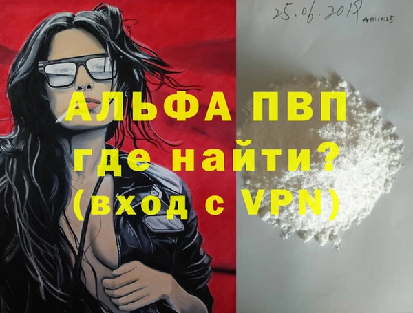 гашик Алексин
