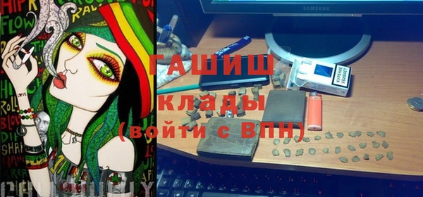 гашик Алексин