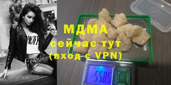 гашик Алексин
