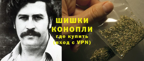 гашик Алексин