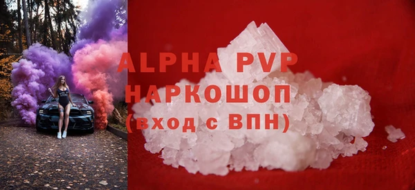 гашик Алексин